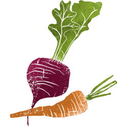 Biologa Nutrizionista Cagliari Biologa Nutrizionista Cagliari